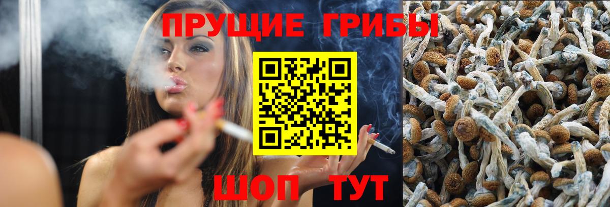 Галлюциногенные грибы GOLDEN TEACHER  закладка  Канаш  Псилоцибиновые грибы мицелий  Вход с VPN 